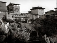 桃色天使在線為何能成為時(shí)尚潮流的數(shù)字風(fēng)向標(biāo)？