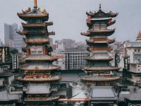 熱血江湖手游，熱門(mén)職業(yè)的魅力與策略，你掌握了嗎？