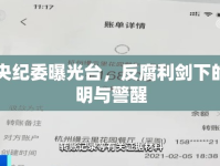 中央紀(jì)委曝光臺(tái)，反腐利劍下的透明與警醒