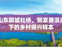 山東聊城杜橋，新發(fā)展浪潮下的鄉(xiāng)村振興樣本