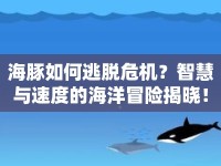 海豚如何逃脫危機(jī)？智慧與速度的海洋冒險揭曉！