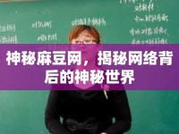 神秘麻豆網(wǎng)，揭秘網(wǎng)絡背后的神秘世界