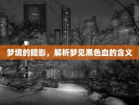夢境的暗影，解析夢見黑色血的含義