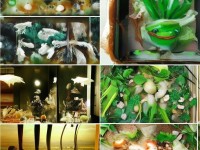 夢幻手游真有‘托’？這5個(gè)細(xì)節(jié)暴露了他們的真實(shí)身份！，采用疑問+懸念形式，用真有引發(fā)好奇，細(xì)節(jié)暴露暗示揭秘感，數(shù)字+身份關(guān)鍵詞精準(zhǔn)吸引目標(biāo)玩家，感嘆號強(qiáng)化情緒，符合游戲話題的討論需求。）