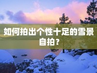 如何拍出個性十足的雪景自拍？