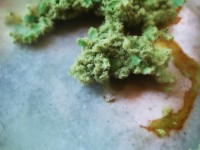 誅仙手游的仙釀草原，為何成為玩家必打卡的仙境勝地？