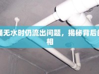 馬桶無水時仍流出問題，揭秘背后的真相