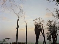 手游天下奕劍世界套為何被譽(yù)為沉浸式武俠體驗(yàn)的巔峰之作？
