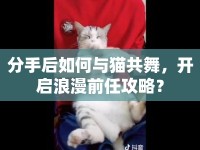 分手后如何與貓共舞，開啟浪漫前任攻略？