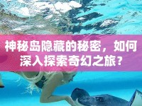 神秘島隱藏的秘密，如何深入探索奇幻之旅？
