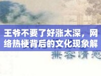 王爺不要了好漲太深，網(wǎng)絡(luò)熱梗背后的文化現(xiàn)象解析