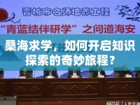 桑海求學，如何開啟知識探索的奇妙旅程？