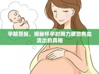 孕期警報(bào)，揭秘懷孕時(shí)用力感覺有血流出的真相