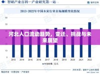 河北人口流動(dòng)趨勢(shì)，變遷、挑戰(zhàn)與未來展望