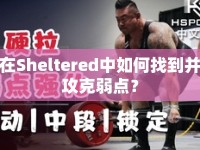 在Sheltered中如何找到并攻克弱點？