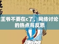 王爺不要在c了，網(wǎng)絡(luò)討論的熱點與反思