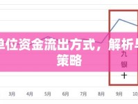 事業(yè)單位資金流出方式，解析與優(yōu)化策略