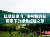 撫順胡家溝，鄉(xiāng)村振興新篇章下的綠色崛起之旅