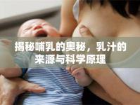 揭秘哺乳的奧秘，乳汁的來(lái)源與科學(xué)原理