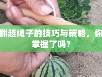 翻越繩子的技巧與策略，你掌握了嗎？