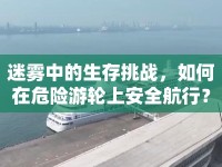 迷霧中的生存挑戰(zhàn)，如何在危險游輪上安全航行？