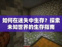 如何在迷失中生存？探索未知世界的生存指南