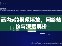 舔內(nèi)s的視頻播放，網(wǎng)絡(luò)熱議與深度解析