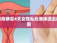 揭秘排卵后4天女性私處液體流出的原因
