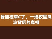 我被校草C了，一場(chǎng)校園風(fēng)波背后的真相