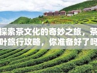 探索茶文化的奇妙之旅，茶葉旅行攻略，你準(zhǔn)備好了嗎？