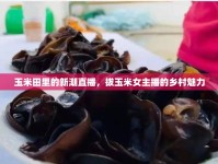 玉米田里的新潮直播，拔玉米女主播的鄉(xiāng)村魅力