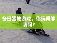 冬日雪地游戲，你玩得夠嗨嗎？