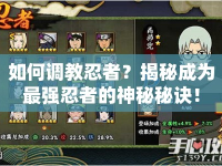 如何調(diào)教忍者？揭秘成為最強(qiáng)忍者的神秘秘訣！