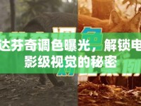 達(dá)芬奇調(diào)色曝光，解鎖電影級(jí)視覺的秘密