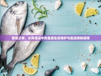 智慧之舉，水庫(kù)建設(shè)中的魚(yú)類(lèi)生態(tài)保護(hù)與魚(yú)流順暢保障