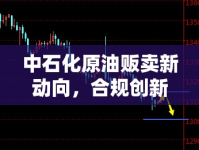 中石化原油販賣新動(dòng)向，合規(guī)創(chuàng)新與市場響應(yīng)的雙重挑戰(zhàn)與機(jī)遇