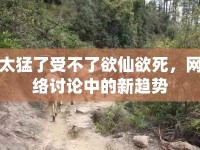 太猛了受不了欲仙欲死，網(wǎng)絡(luò)討論中的新趨勢(shì)