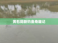 黃石陽新釣魚奇趣記
