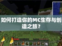 如何打造你的MC生存與創(chuàng)造之旅？