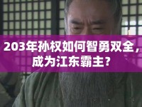 203年孫權(quán)如何智勇雙全，成為江東霸主？