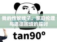 我的性奴嫂子，家庭倫理與道德困境的探討
