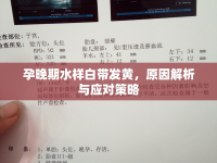 孕晚期水樣白帶發(fā)黃，原因解析與應(yīng)對(duì)策略