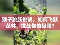 猴子跳躍挑戰(zhàn)，如何飛躍叢林，挑戰(zhàn)你的極限？