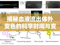 揭秘血液流出體外變色的科學時間與變化