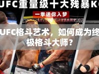 UFC格斗藝術(shù)，如何成為終極格斗大師？