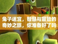 兔子迷宮，智慧與冒險(xiǎn)的奇妙之旅，你準(zhǔn)備好了嗎？