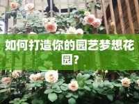 如何打造你的園藝夢(mèng)想花園？