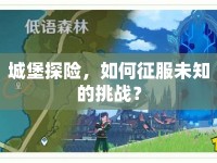 城堡探險(xiǎn)，如何征服未知的挑戰(zhàn)？