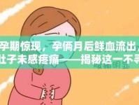 孕期驚現(xiàn)，孕倆月后鮮血流出，肚子未感疼痛——揭秘這一不尋常的孕期信號(hào)