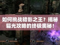 如何挑戰(zhàn)暗影之王？揭秘輻光攻略的終極奧秘！